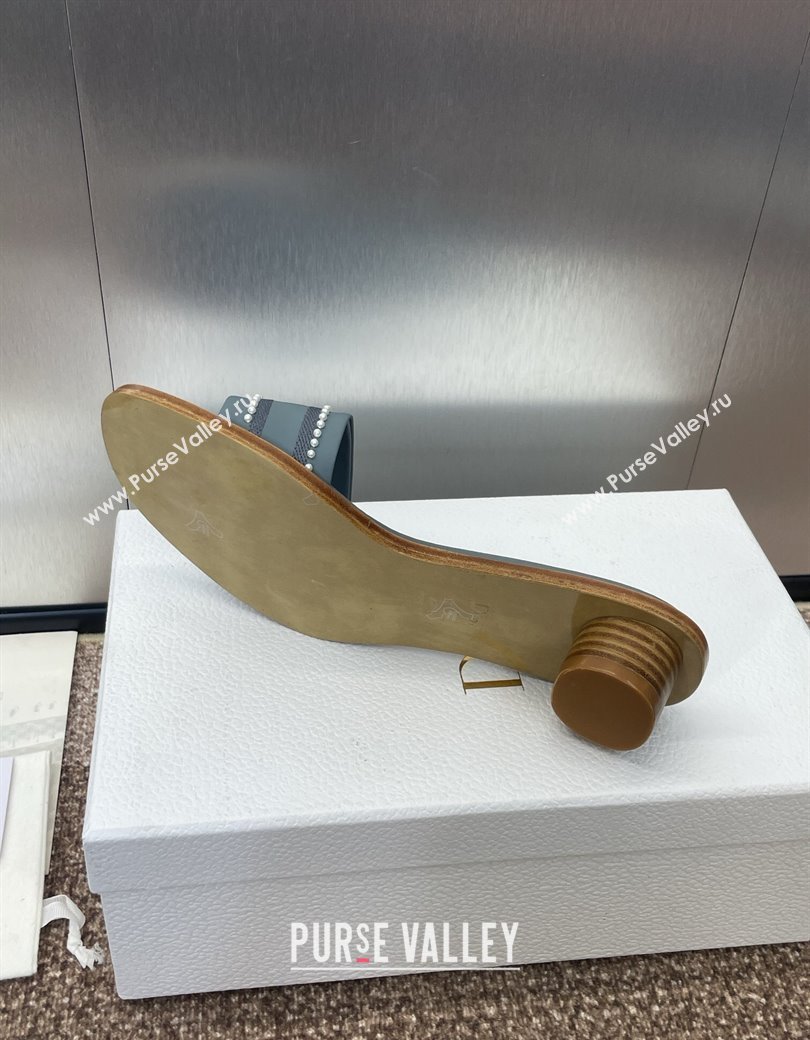 Dior Dway Heeled Slides Sandal 3cm in Calfskin and Embroidered Cotton with Pearls Blue 2025 (JC-250220071)