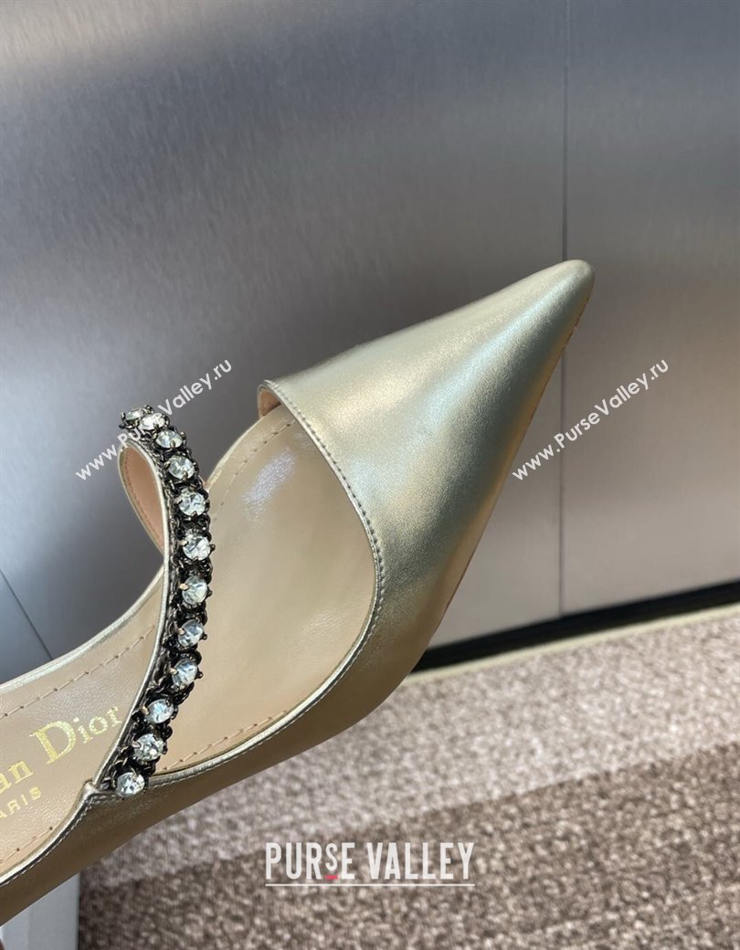 Dior Metallic Leather Pumps 7cm with Strass Strap Gold 2025 0220 (JC-250220051)