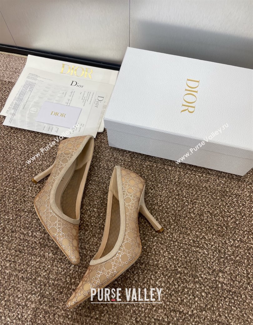 Dior Capture Pumps 9.5cm in Transparent Mesh with Strass Cannage Motif and Nude Suede 2025 (JC-250220090)