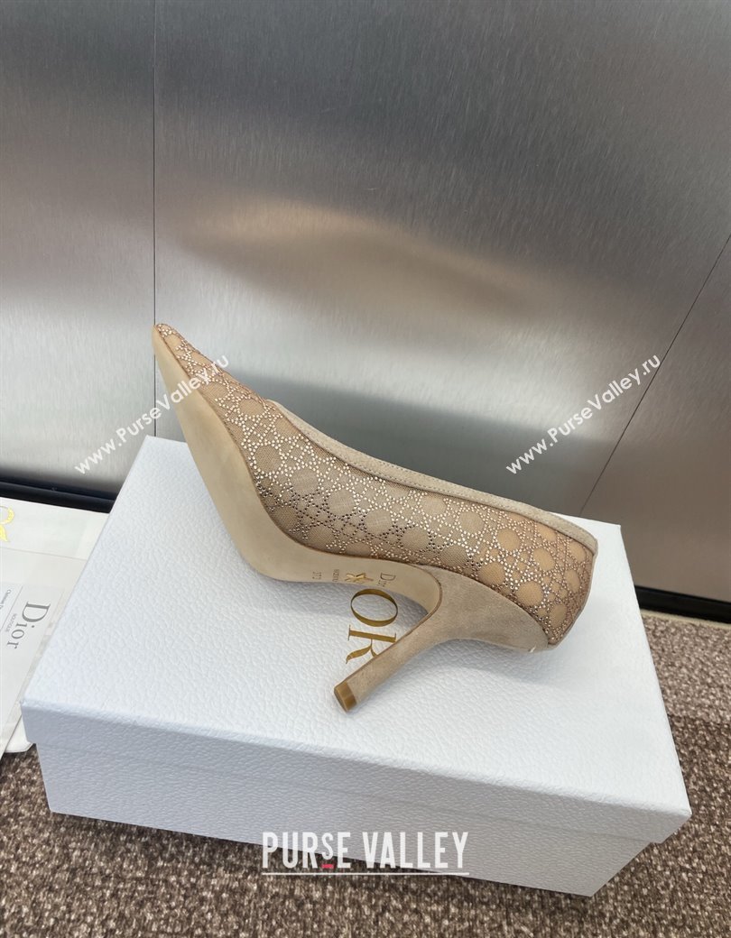 Dior Capture Pumps 9.5cm in Transparent Mesh with Strass Cannage Motif and Nude Suede 2025 (JC-250220090)
