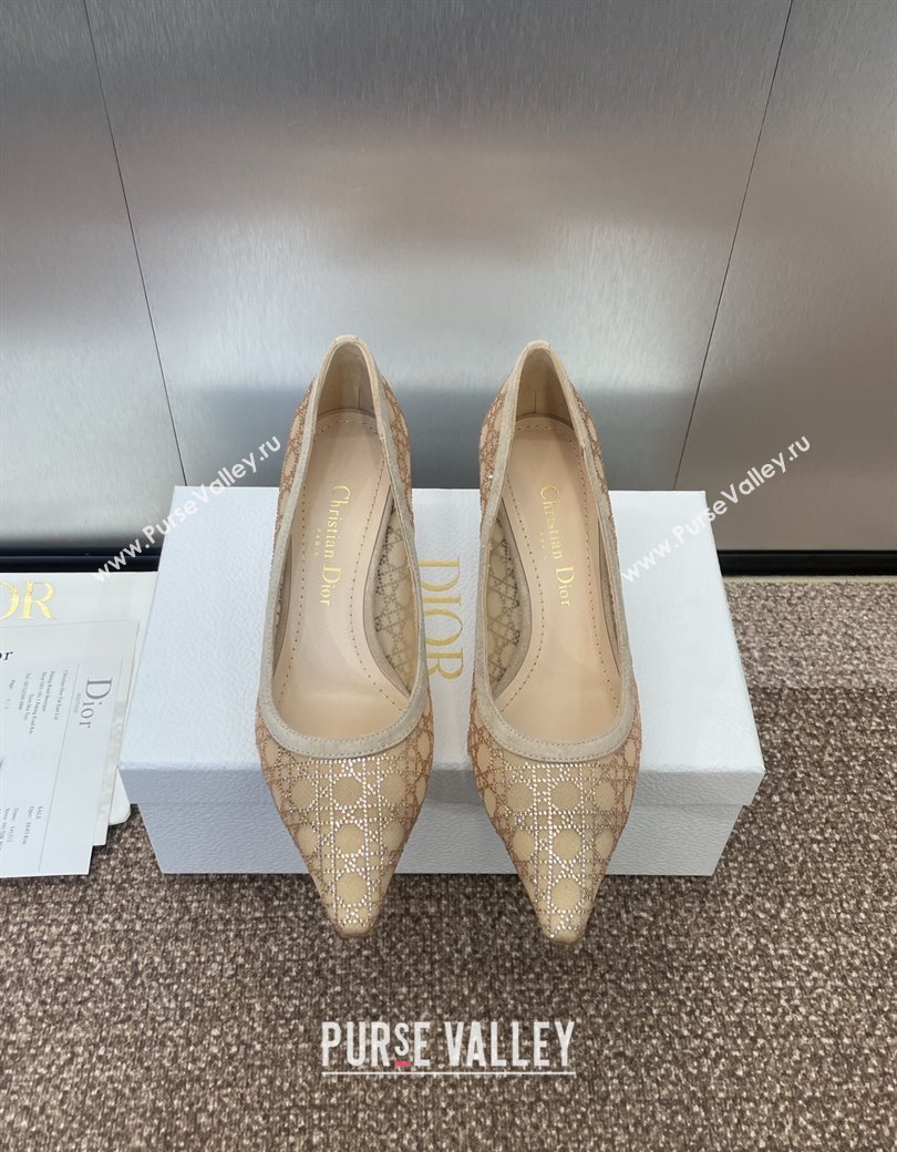 Dior Capture Pumps 6.5cm in Transparent Mesh with Strass Cannage Motif and Nude Suede 2025 (JC-250220092)