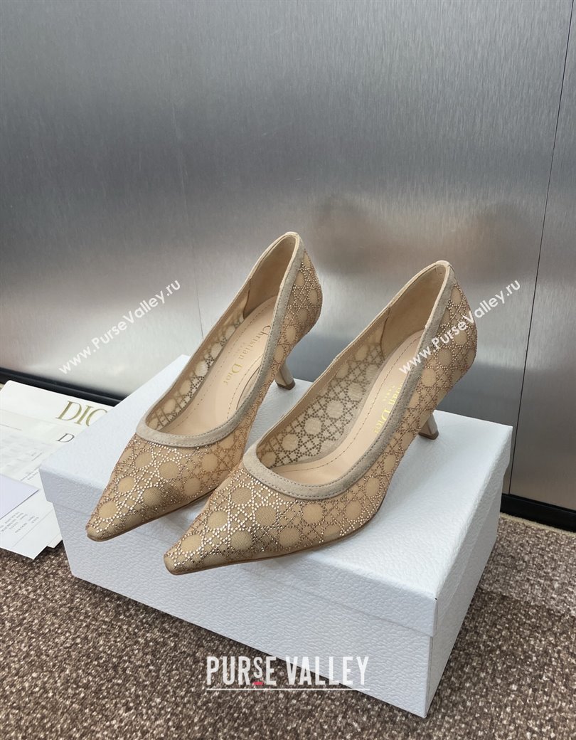 Dior Capture Pumps 6.5cm in Transparent Mesh with Strass Cannage Motif and Nude Suede 2025 (JC-250220092)