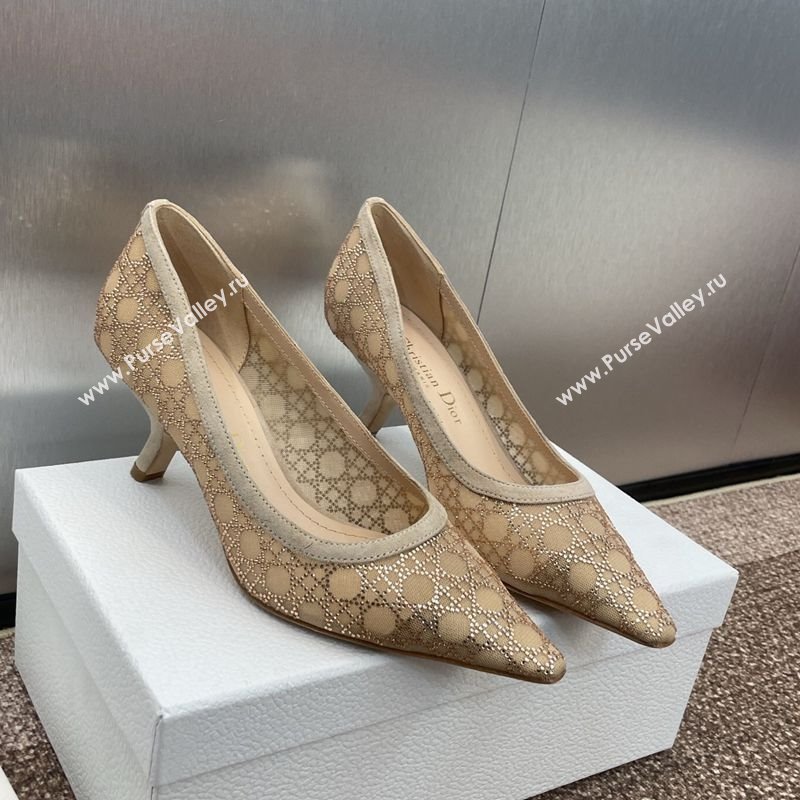 Dior Capture Pumps 6.5cm in Transparent Mesh with Strass Cannage Motif and Nude Suede 2025 (JC-250220092)