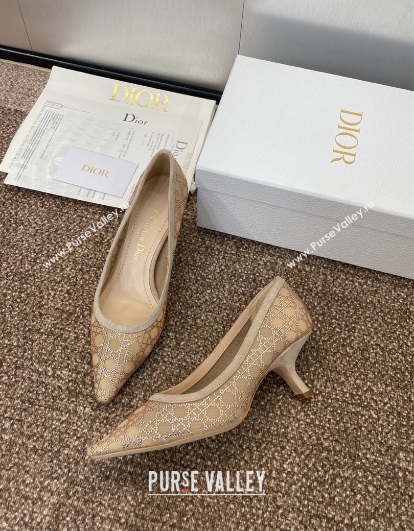 Dior Capture Pumps 6.5cm in Transparent Mesh with Strass Cannage Motif and Nude Suede 2025 (JC-250220092)