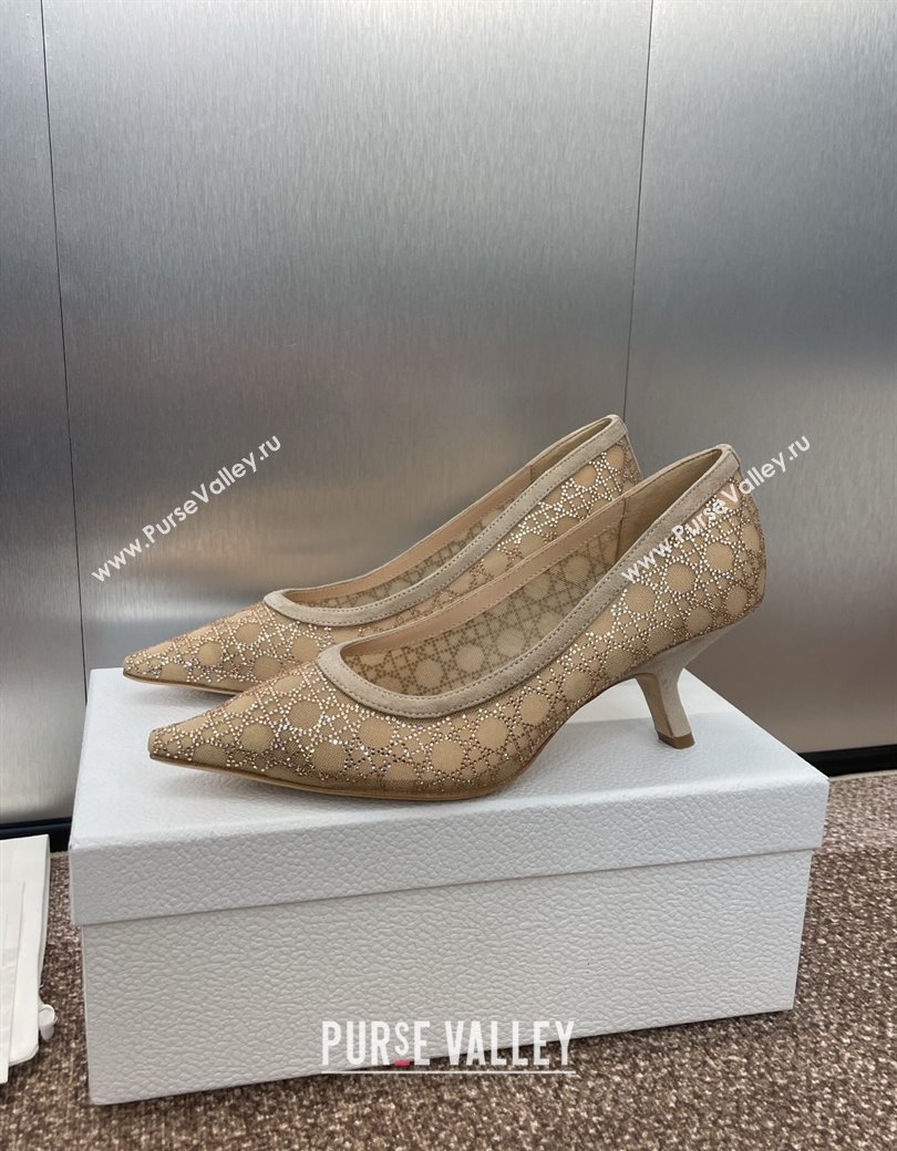 Dior Capture Pumps 6.5cm in Transparent Mesh with Strass Cannage Motif and Nude Suede 2025 (JC-250220092)