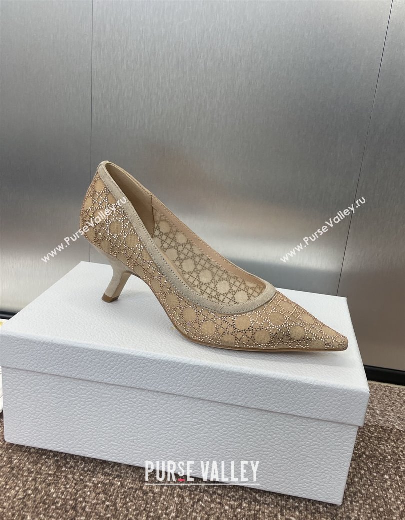 Dior Capture Pumps 6.5cm in Transparent Mesh with Strass Cannage Motif and Nude Suede 2025 (JC-250220092)