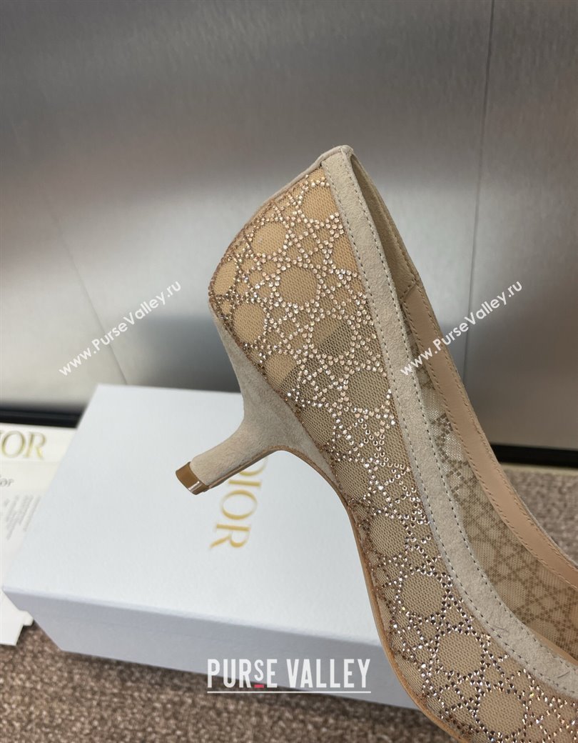 Dior Capture Pumps 6.5cm in Transparent Mesh with Strass Cannage Motif and Nude Suede 2025 (JC-250220092)