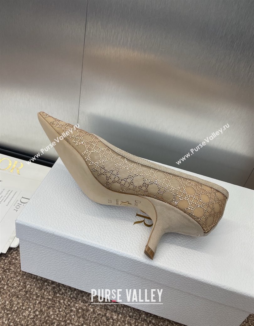 Dior Capture Pumps 6.5cm in Transparent Mesh with Strass Cannage Motif and Nude Suede 2025 (JC-250220092)