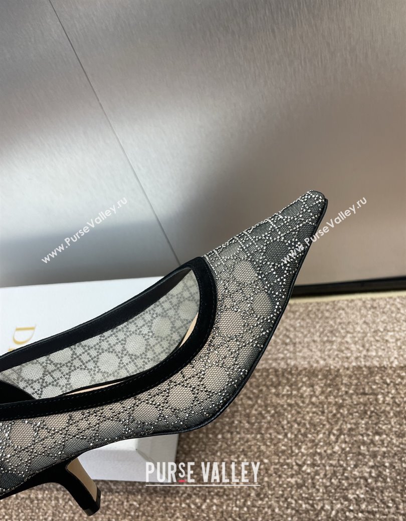Dior Capture Pumps 6.5cm in Transparent Mesh with Strass Cannage Motif and Black Suede 2025 (JC-250220093)