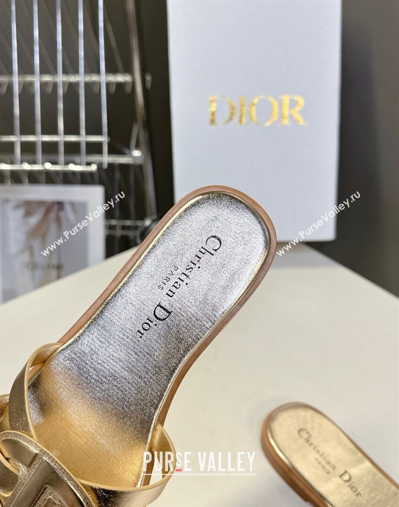Dior D-Club Flat Slides Sandal in Calfskin Leather Gold 2025 (MD-250605050)