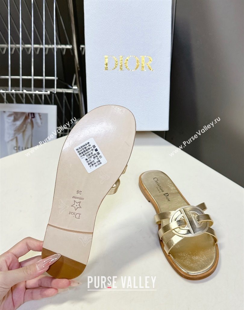 Dior D-Club Flat Slides Sandal in Calfskin Leather Gold 2025 (MD-250605050)