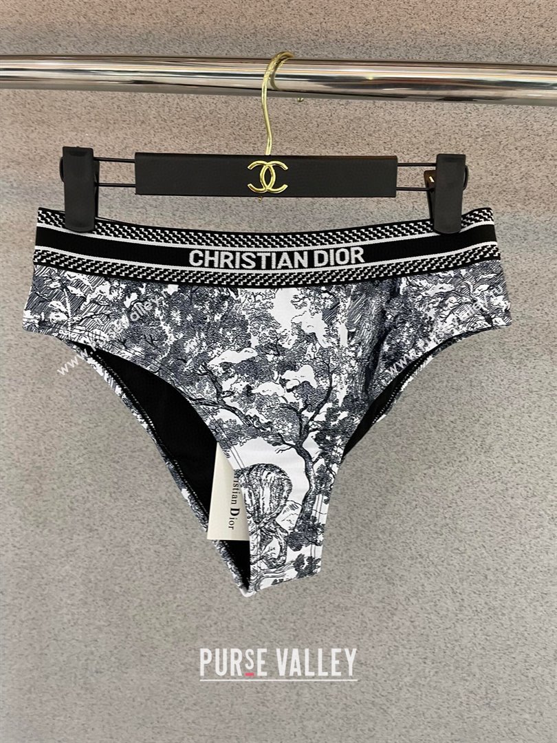 Dior Two-Pieces Swimwear Black/White 2025 0313 (SHI-250313059)