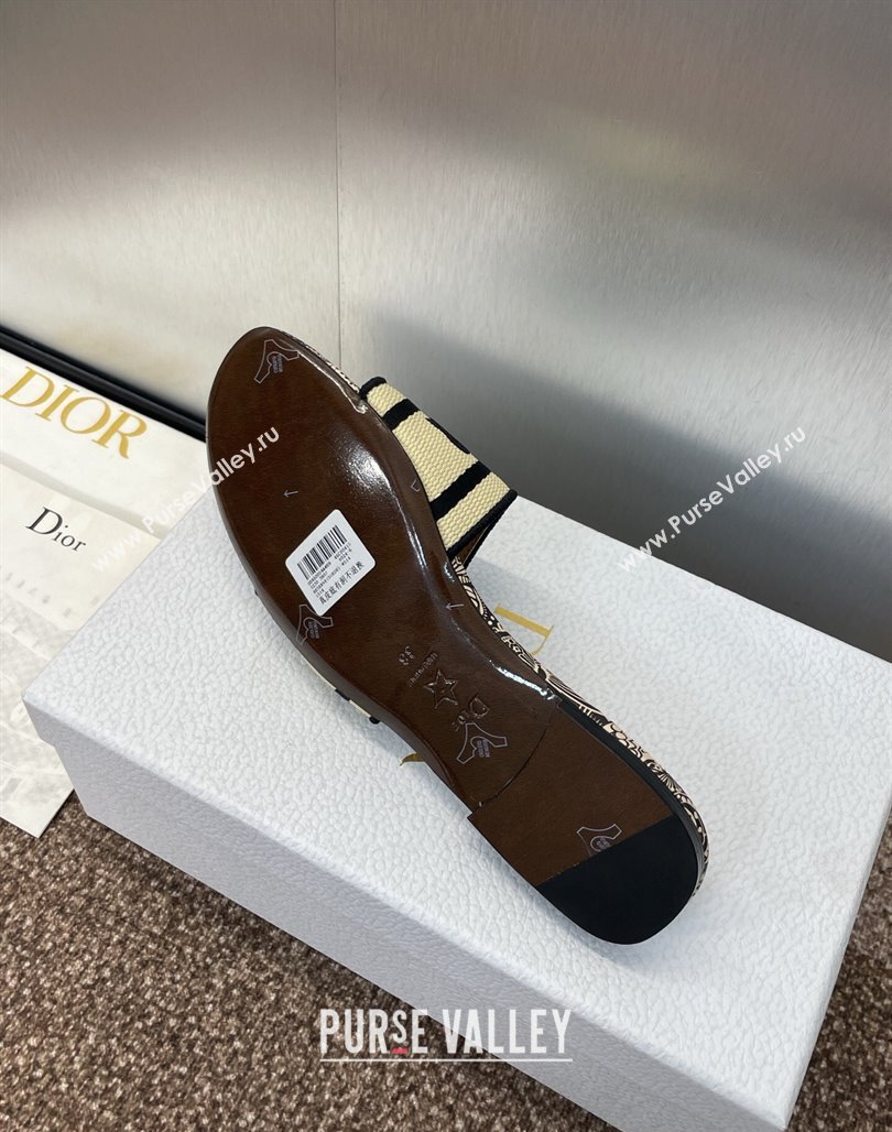 Dior Dway Flat Slides Sandal in Beige Raffia Straw with D-Butterfly Paisley Motif 2025 (MD-250425087)