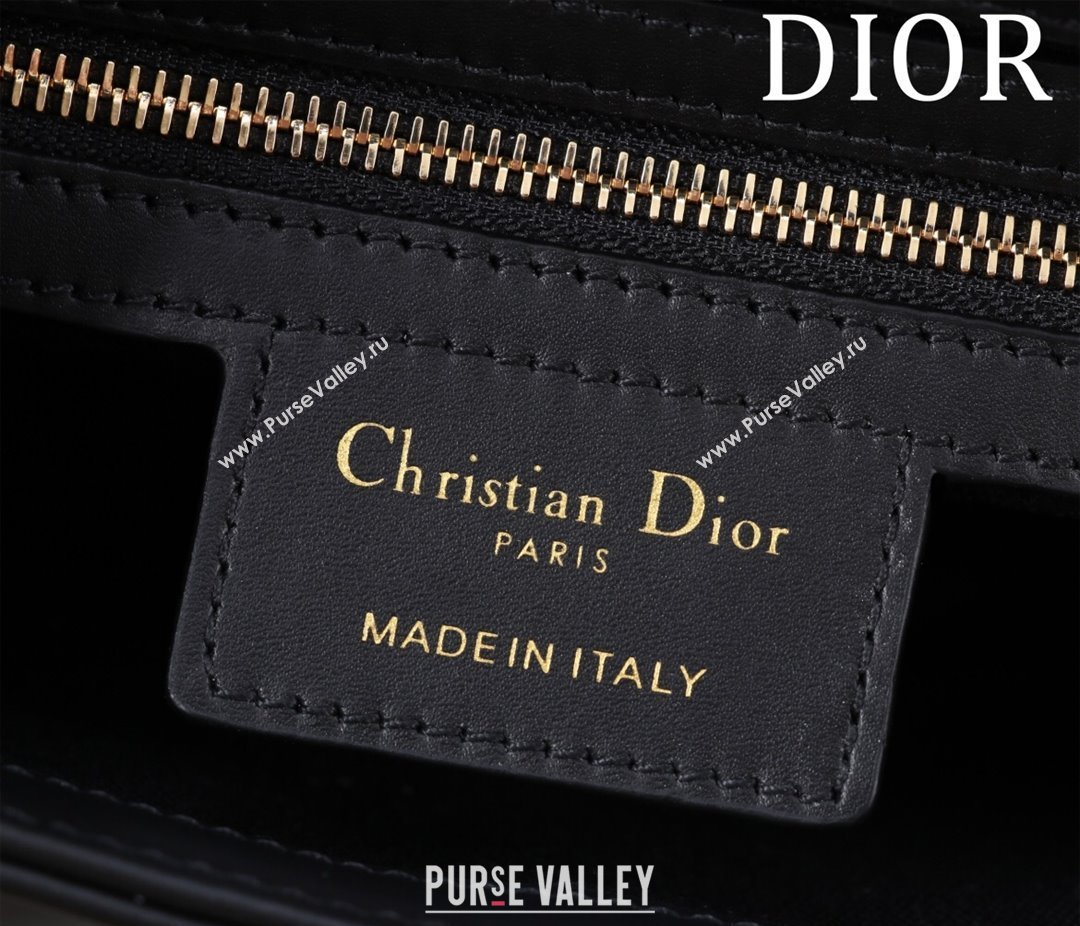 Dior Small Streetchic Bag in Smooth Calfskin Leather Black 2025 391907 (XXG-250521111)