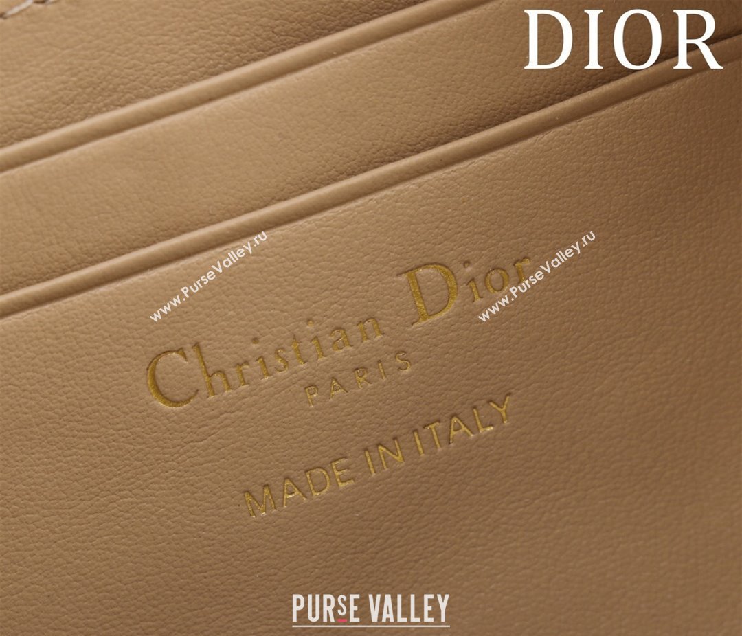 Dior 30 Montaigne Wanderlust Mini Bag in Beige Dior Oblique Chambray with Raffia Effect and Smooth Calfskin 2025 (XXG-250521139)