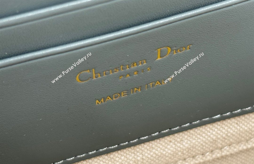 Dior 30 Montaigne Dea Pouch in Oblique Jacquard Grey 2025 (XXG-250627097)