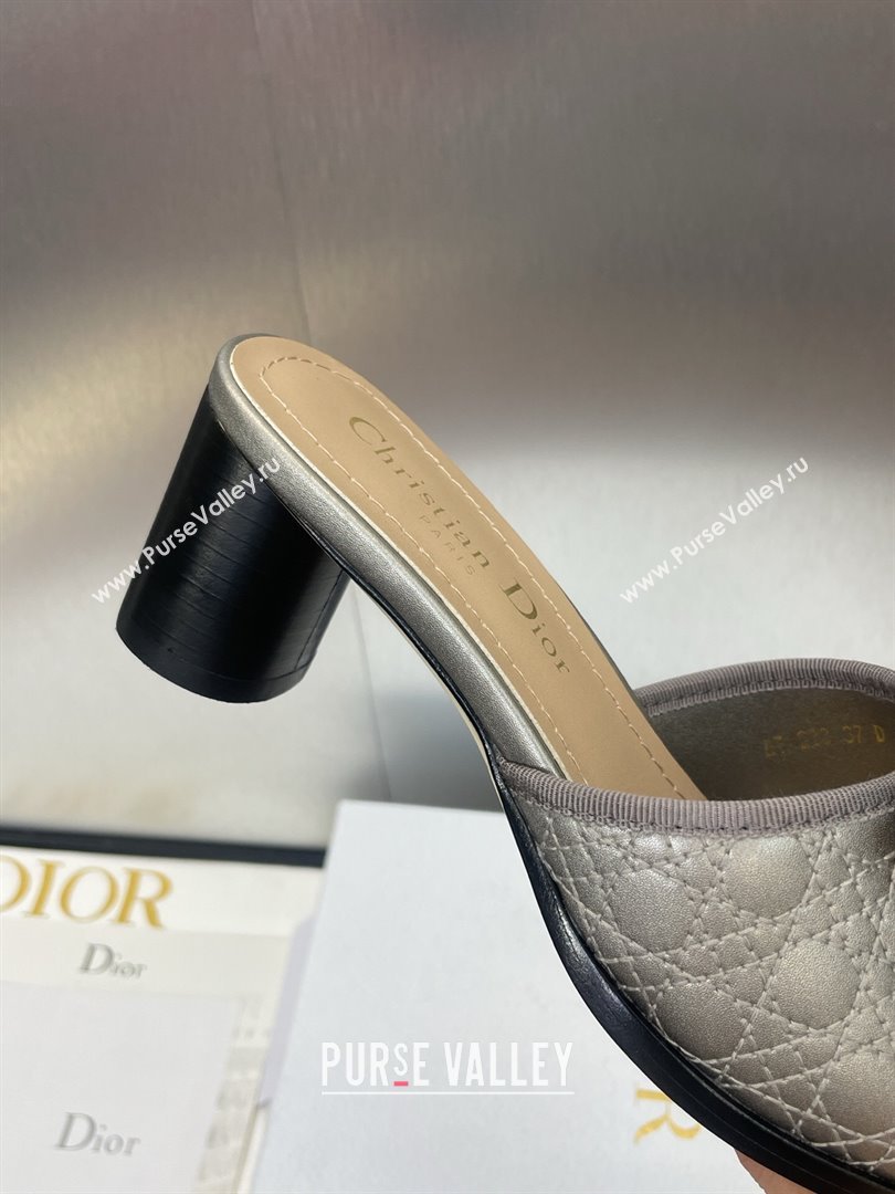 Dior Oblique Leather Heeled Slides Sandal 6cm with Pearl Bow Grey 2025 (JC-250710042)