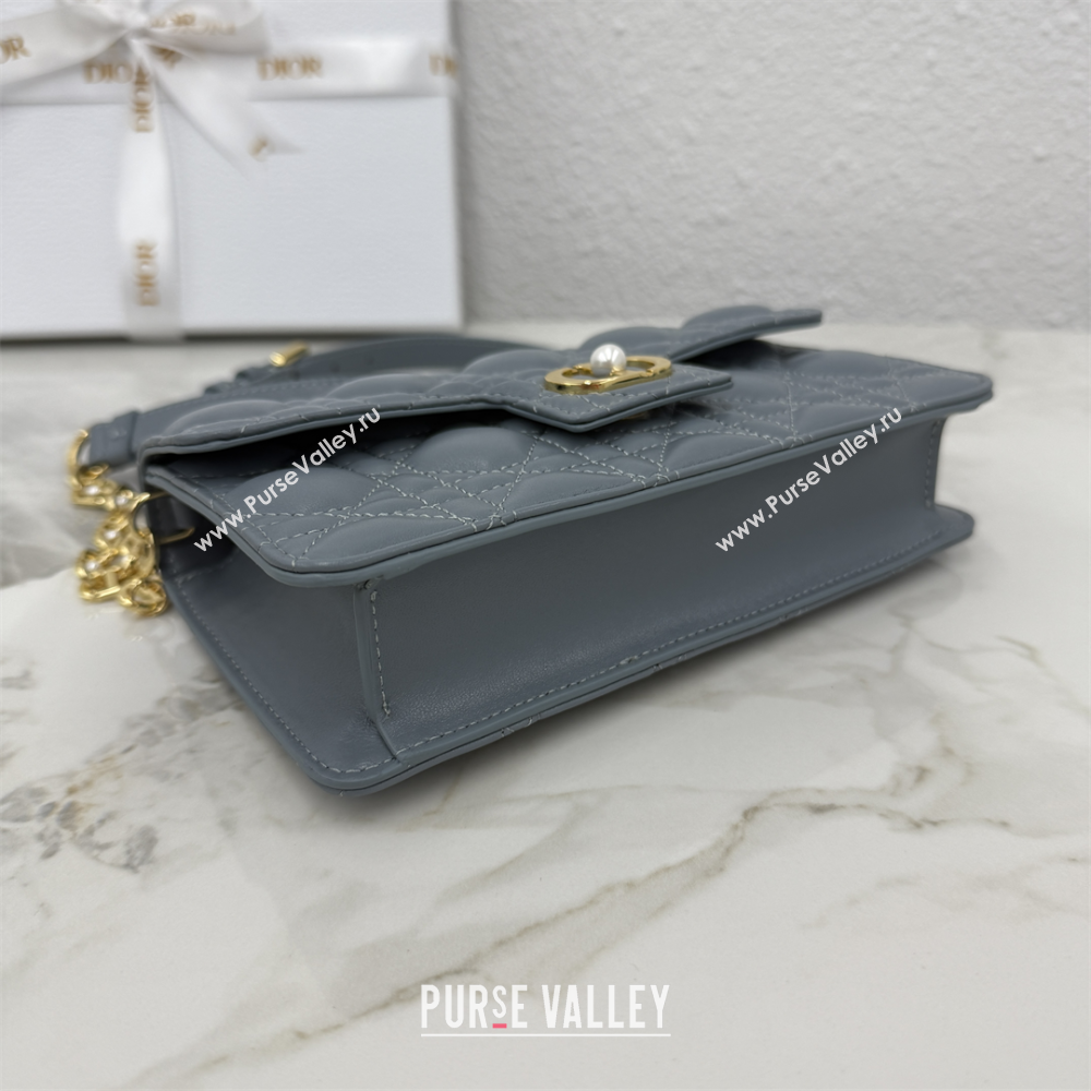 Dior Jolie East-West Bag in Cannage Lamb Leather and Flat Cannage Calfskin Dark Grey 2025 S3117 (XXG-250806110)