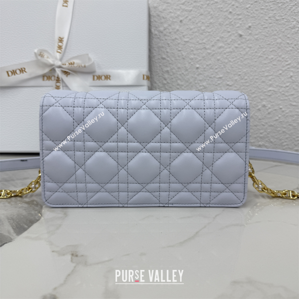 Dior Jolie East-West Bag in Cannage Lamb Leather and Flat Cannage Calfskin Glacier Blue 2025 S3117 (XXG-250806100)