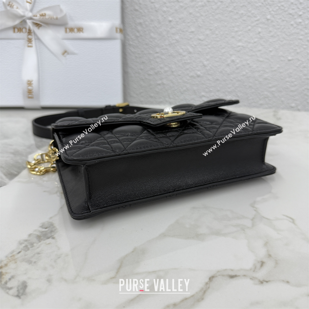 Dior Jolie East-West Bag in Cannage Lamb Leather and Flat Cannage Calfskin Black 2025 S3117 (XXG-250806101)