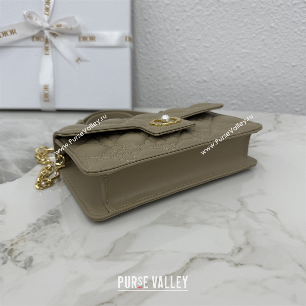 Dior Jolie East-West Bag in Cannage Lamb Leather and Flat Cannage Calfskin Grey 2025 S3117 (XXG-250806103)