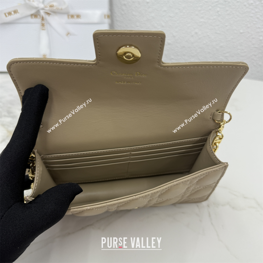 Dior Jolie East-West Bag in Cannage Lamb Leather and Flat Cannage Calfskin Grey 2025 S3117 (XXG-250806103)