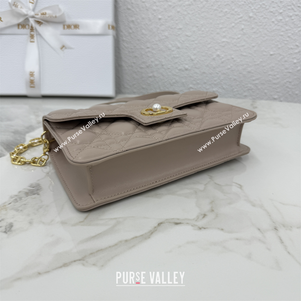 Dior Jolie East-West Bag in Cannage Lamb Leather and Flat Cannage Calfskin Taupe 2025 S3117 (XXG-250806104)