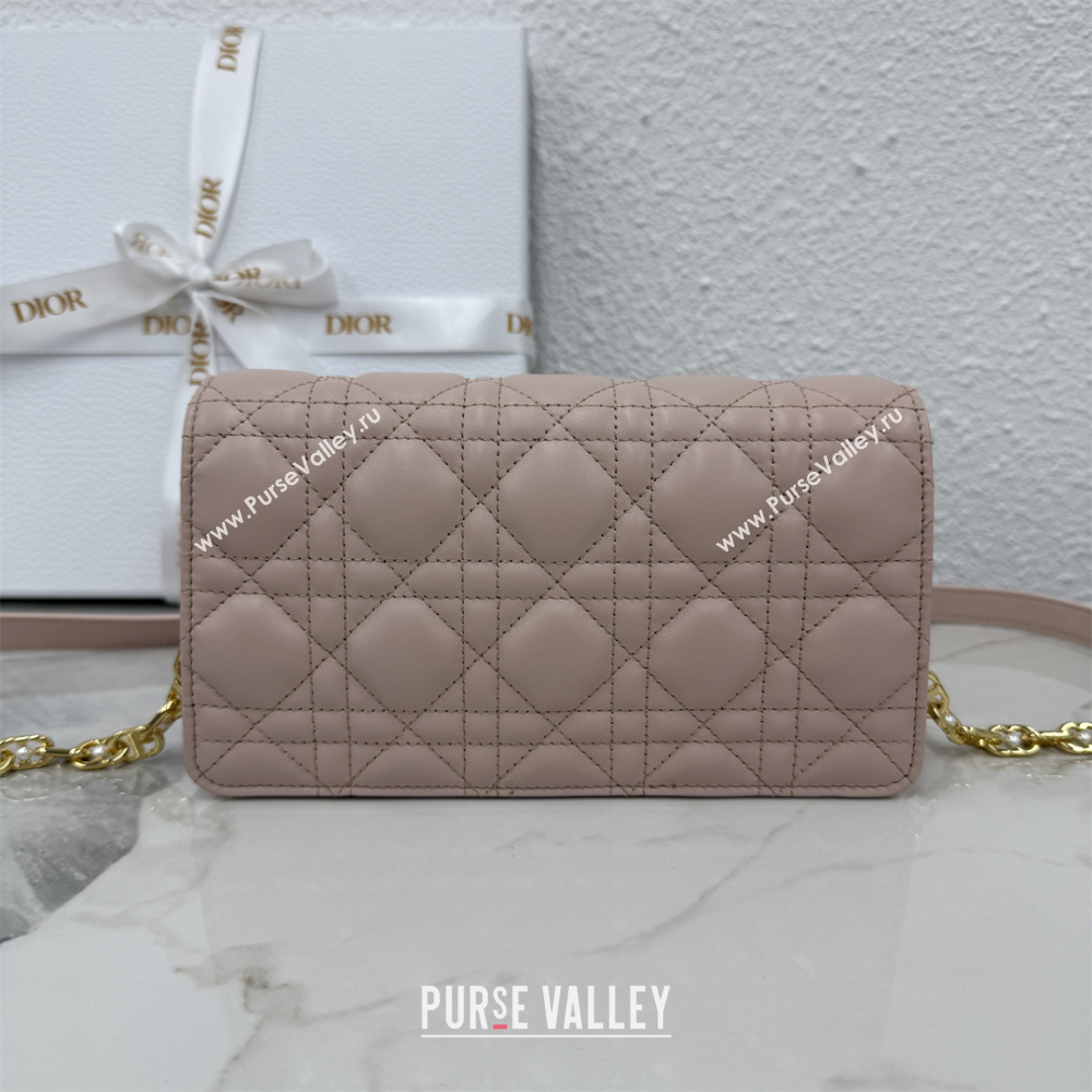 Dior Jolie East-West Bag in Cannage Lamb Leather and Flat Cannage Calfskin Powder Pink 2025 S3117 (XXG-250806105)