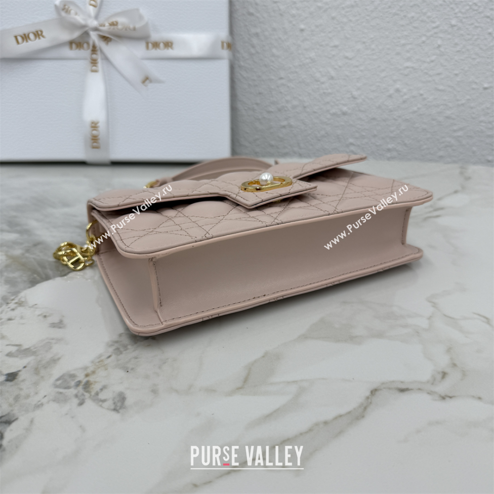 Dior Jolie East-West Bag in Cannage Lamb Leather and Flat Cannage Calfskin Powder Pink 2025 S3117 (XXG-250806105)