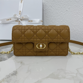 Dior Jolie East-West Bag in Cannage Lamb Leather and Flat Cannage Calfskin Gold-Tone 2025 S3117 (XXG-250806106)