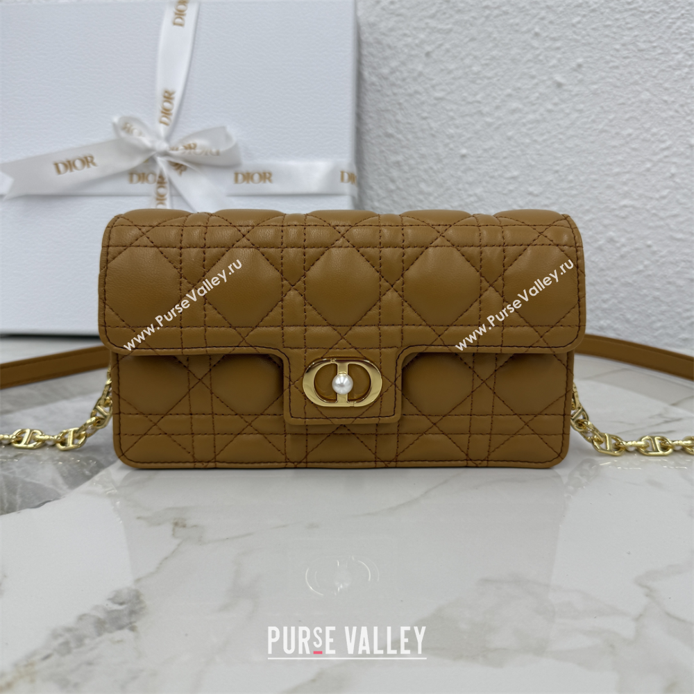 Dior Jolie East-West Bag in Cannage Lamb Leather and Flat Cannage Calfskin Gold-Tone 2025 S3117 (XXG-250806106)