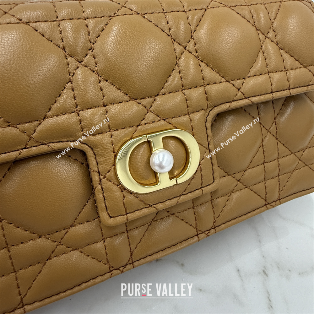 Dior Jolie East-West Bag in Cannage Lamb Leather and Flat Cannage Calfskin Gold-Tone 2025 S3117 (XXG-250806106)