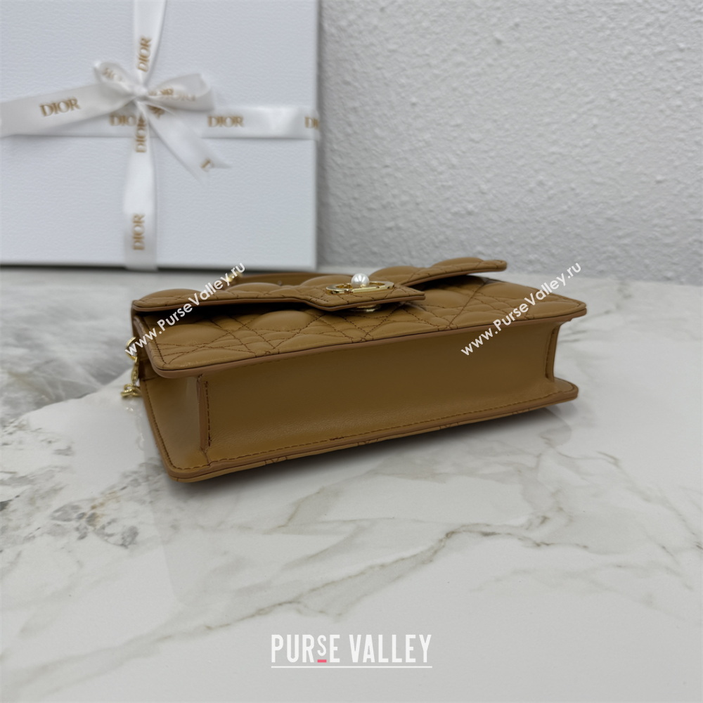 Dior Jolie East-West Bag in Cannage Lamb Leather and Flat Cannage Calfskin Gold-Tone 2025 S3117 (XXG-250806106)