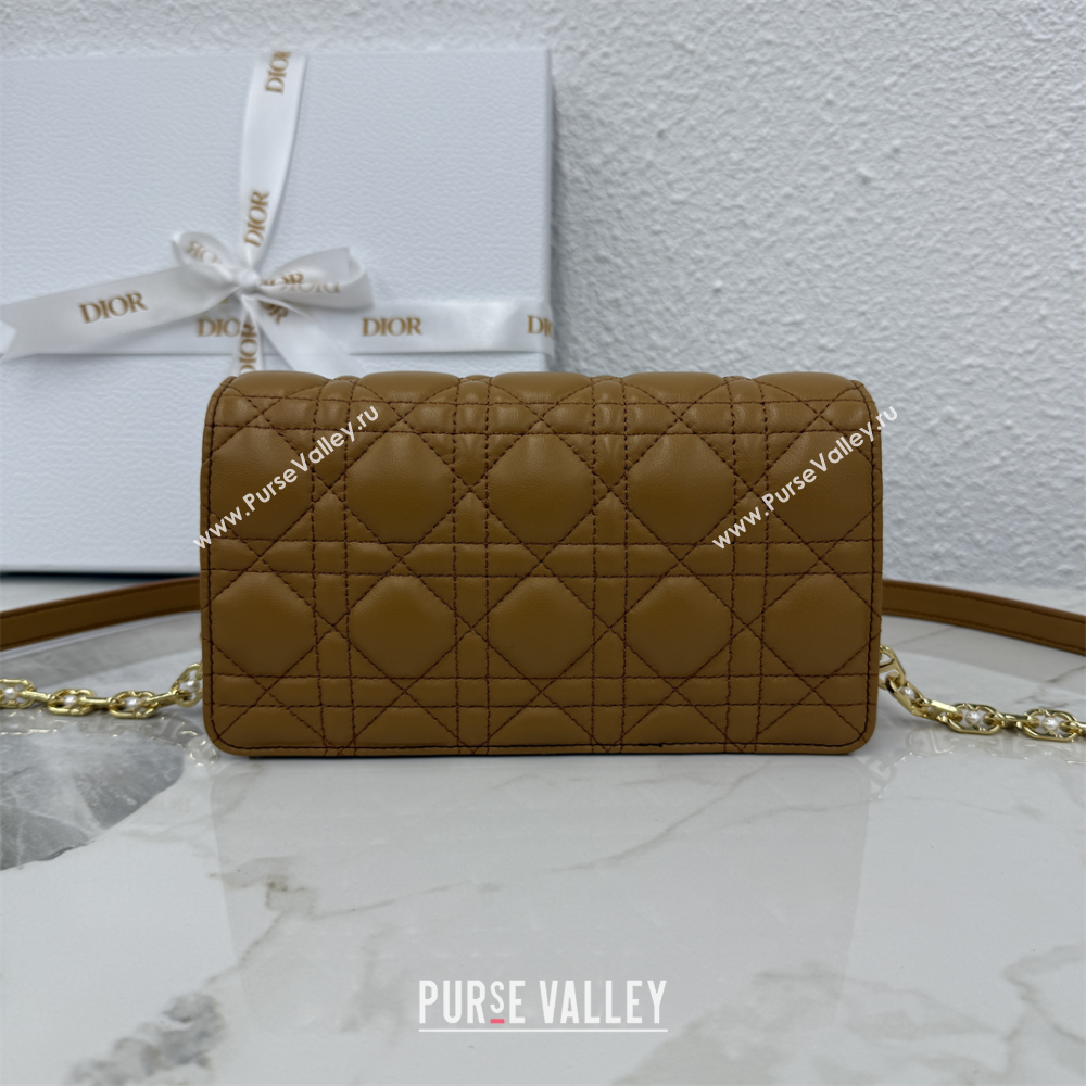Dior Jolie East-West Bag in Cannage Lamb Leather and Flat Cannage Calfskin Gold-Tone 2025 S3117 (XXG-250806106)