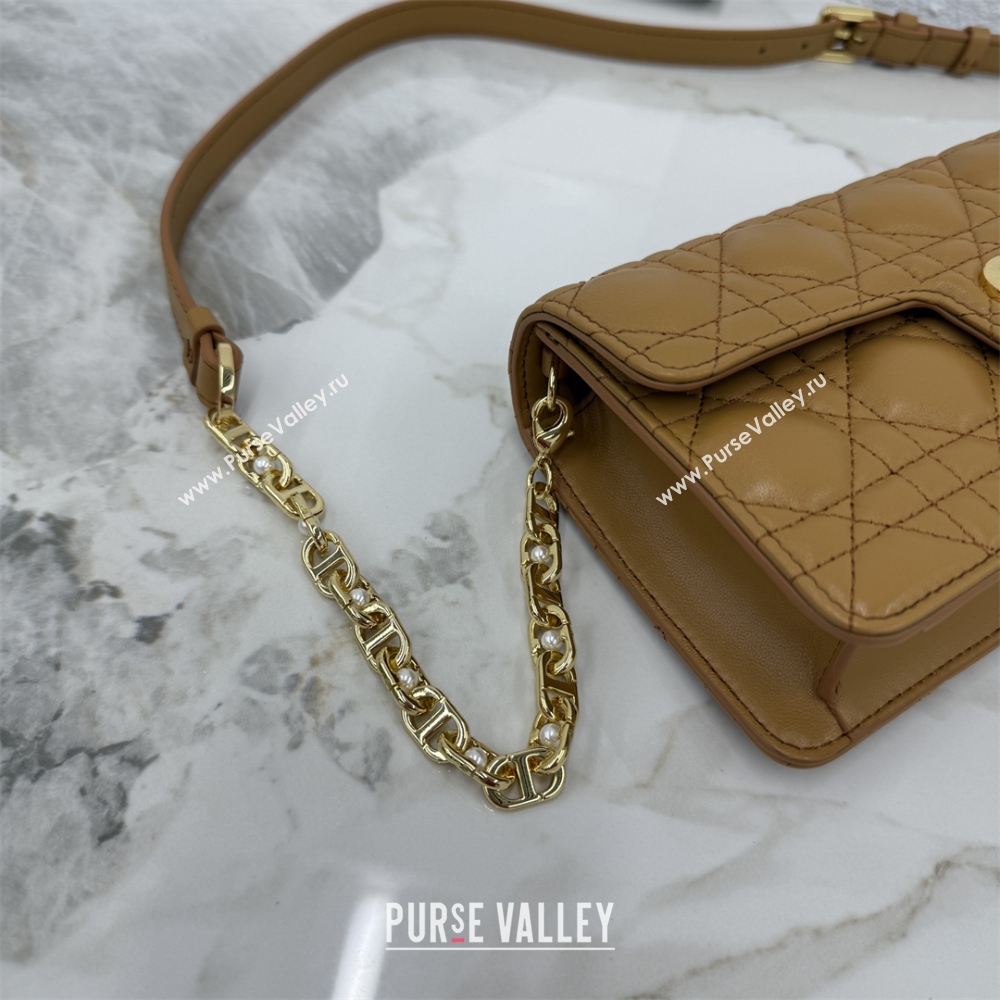 Dior Jolie East-West Bag in Cannage Lamb Leather and Flat Cannage Calfskin Gold-Tone 2025 S3117 (XXG-250806106)
