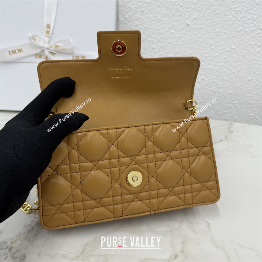 Dior Jolie East-West Bag in Cannage Lamb Leather and Flat Cannage Calfskin Gold-Tone 2025 S3117 (XXG-250806106)