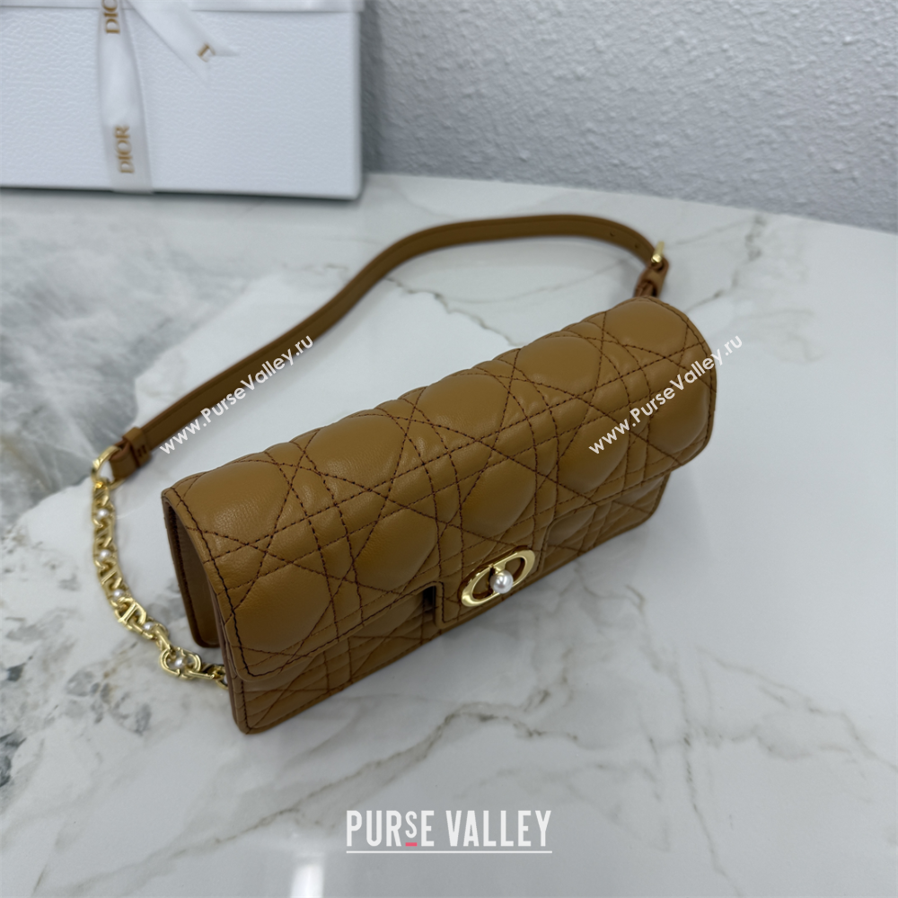 Dior Jolie East-West Bag in Cannage Lamb Leather and Flat Cannage Calfskin Gold-Tone 2025 S3117 (XXG-250806106)