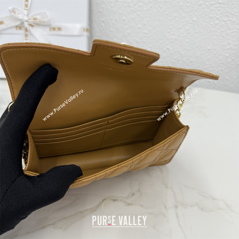 Dior Jolie East-West Bag in Cannage Lamb Leather and Flat Cannage Calfskin Gold-Tone 2025 S3117 (XXG-250806106)