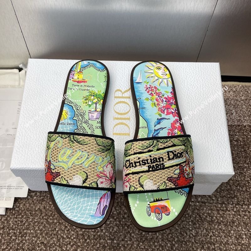 Dior Dway Flat Slides Sandal in Straw and Embroidered Cotton Green/Blue 2025 DR082204 (JC-250822086)