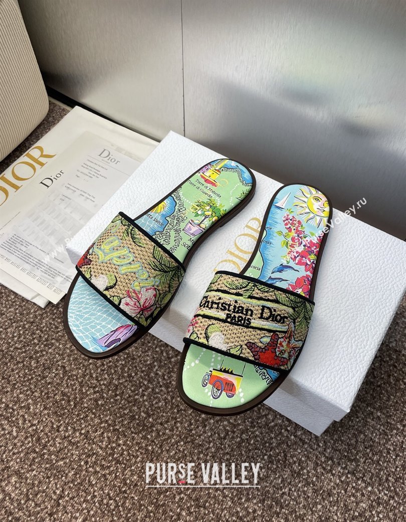 Dior Dway Flat Slides Sandal in Straw and Embroidered Cotton Green/Blue 2025 DR082204 (JC-250822086)