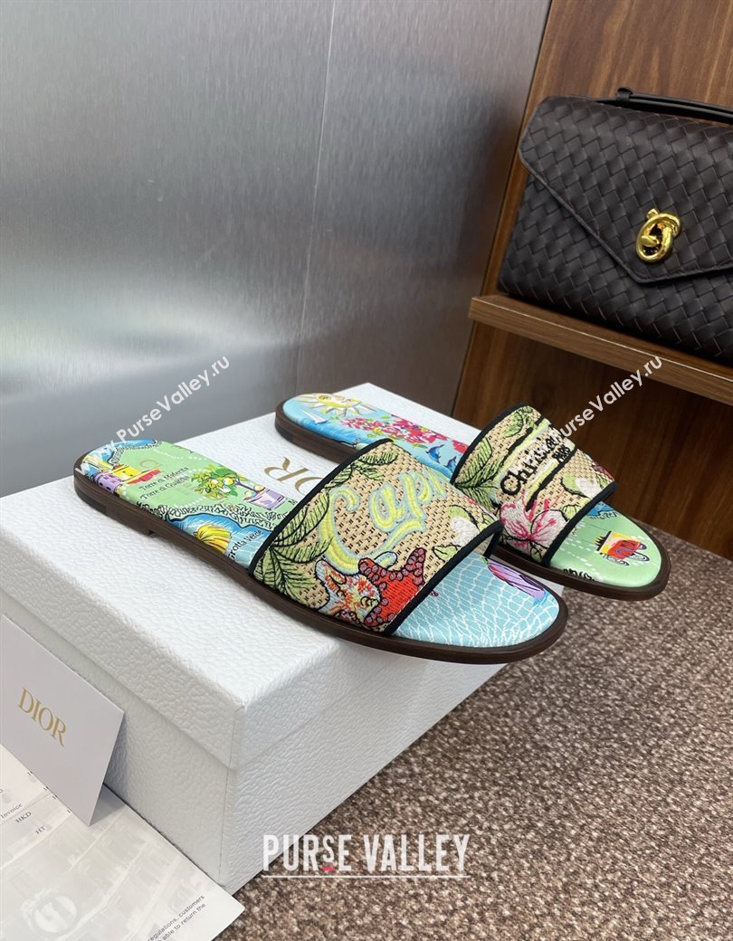 Dior Dway Flat Slides Sandal in Straw and Embroidered Cotton Green/Blue 2025 DR082204 (JC-250822086)