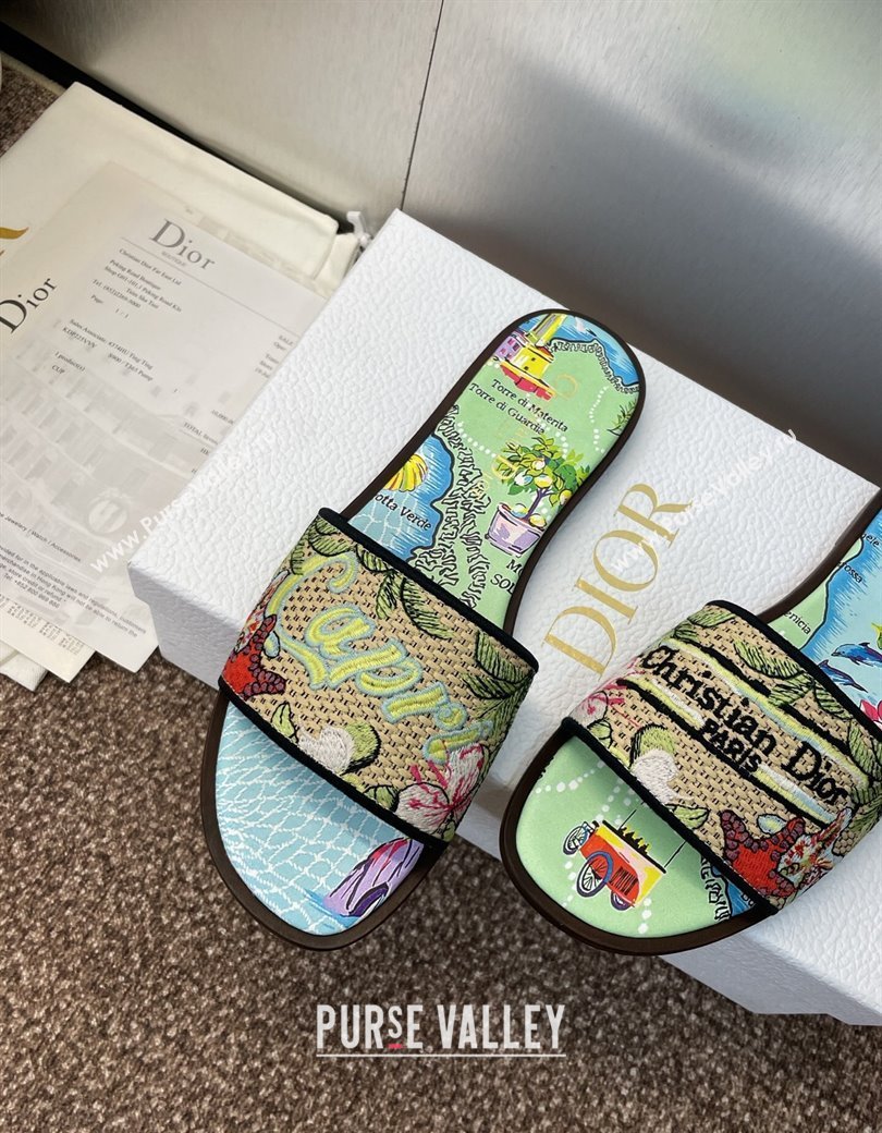 Dior Dway Flat Slides Sandal in Straw and Embroidered Cotton Green/Blue 2025 DR082204 (JC-250822086)
