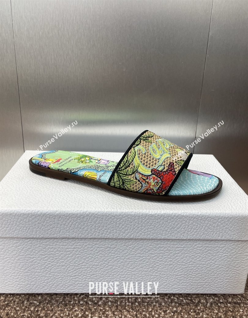 Dior Dway Flat Slides Sandal in Straw and Embroidered Cotton Green/Blue 2025 DR082204 (JC-250822086)