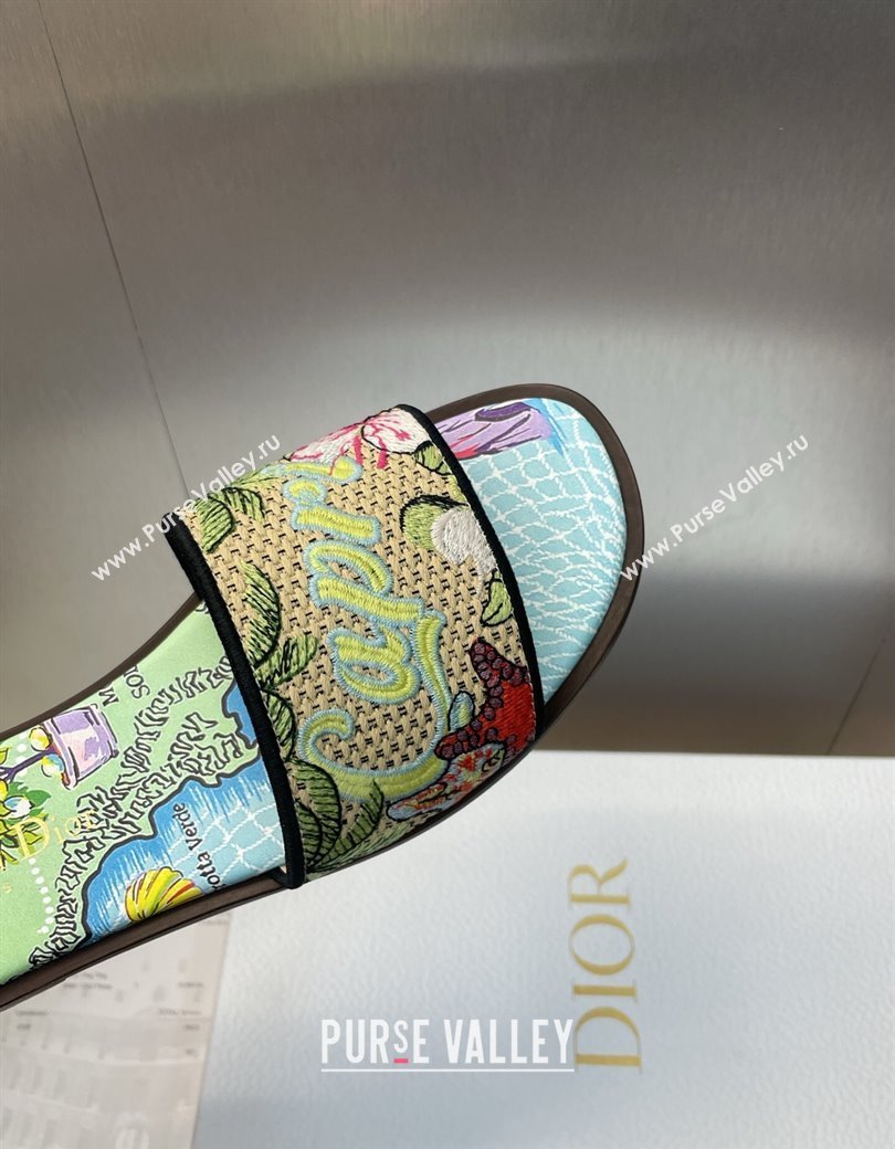 Dior Dway Flat Slides Sandal in Straw and Embroidered Cotton Green/Blue 2025 DR082204 (JC-250822086)