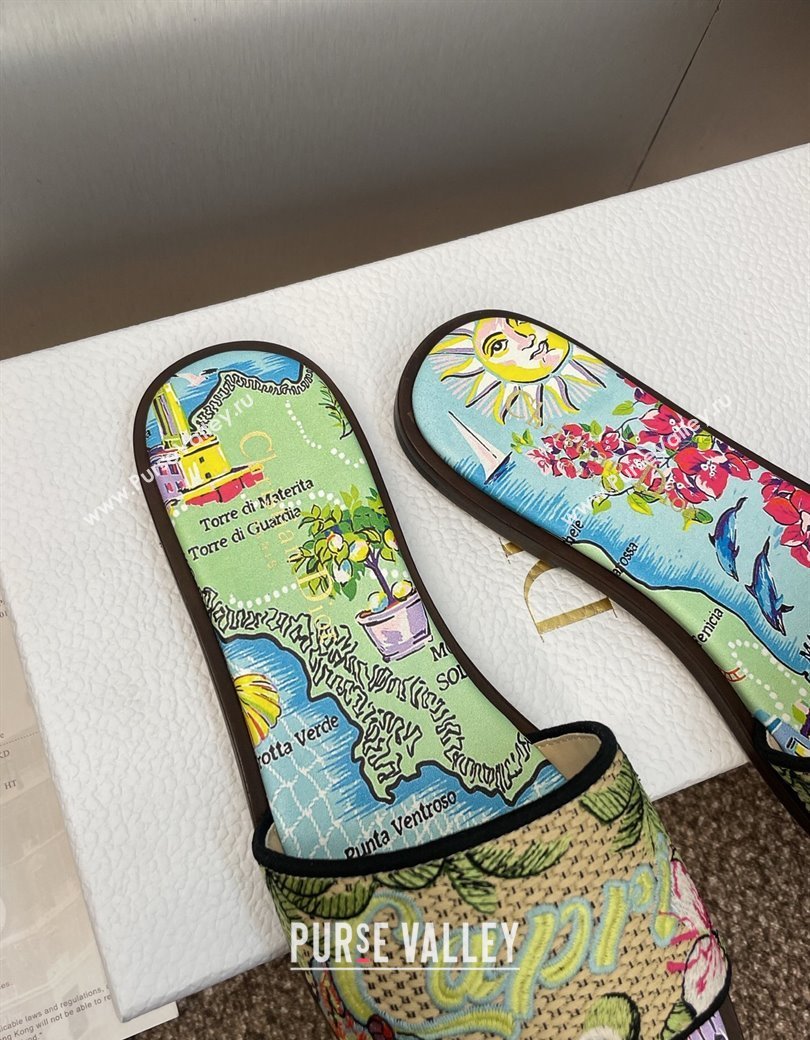 Dior Dway Flat Slides Sandal in Straw and Embroidered Cotton Green/Blue 2025 DR082204 (JC-250822086)