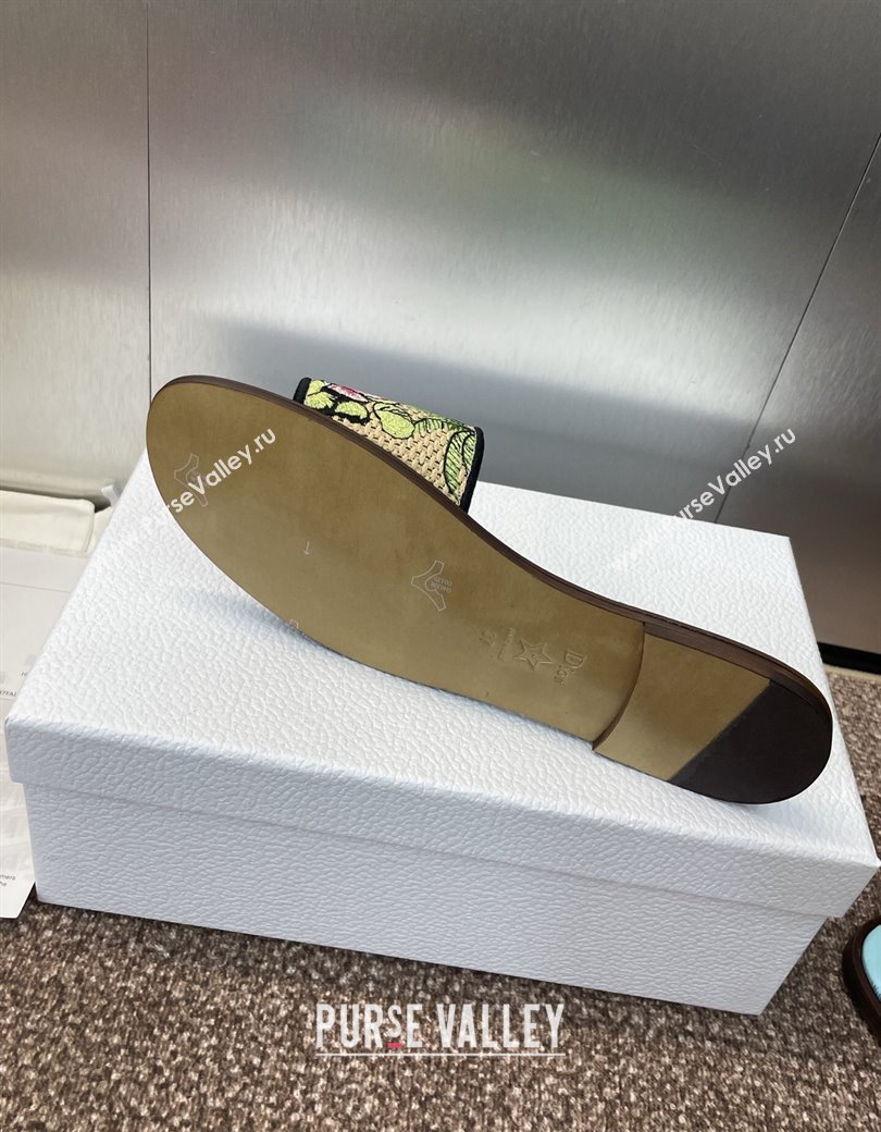 Dior Dway Flat Slides Sandal in Straw and Embroidered Cotton Green/Blue 2025 DR082204 (JC-250822086)