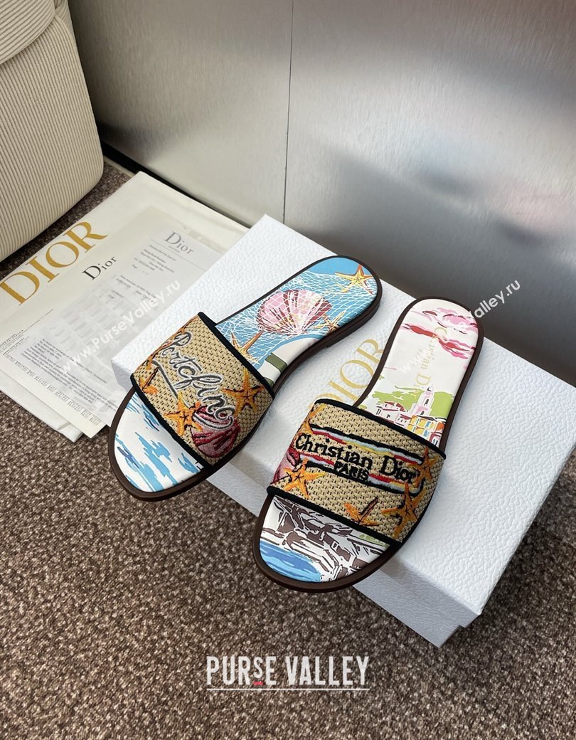 Dior Dway Flat Slides Sandal in Straw and Embroidered Cotton Blue/White 2025 DR082204 (JC-250822087)
