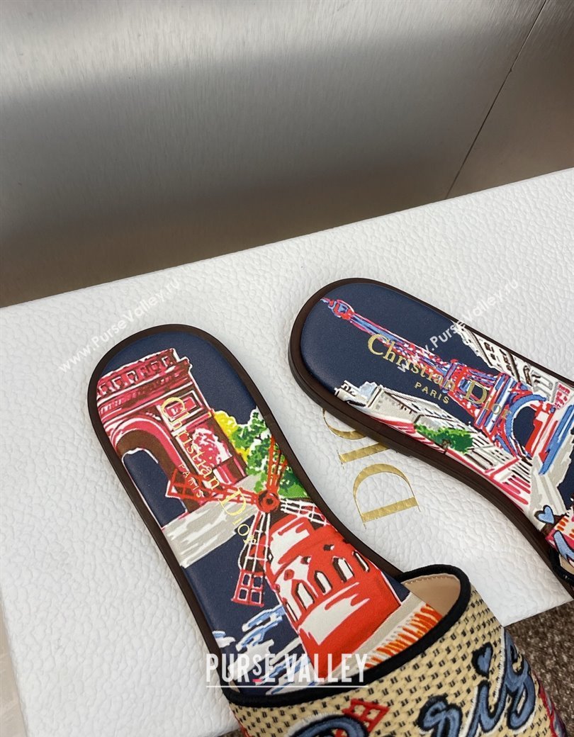 Dior Dway Flat Slides Sandal in Straw and Embroidered Cotton Deep Blue 2025 DR082204 (JC-250822088)