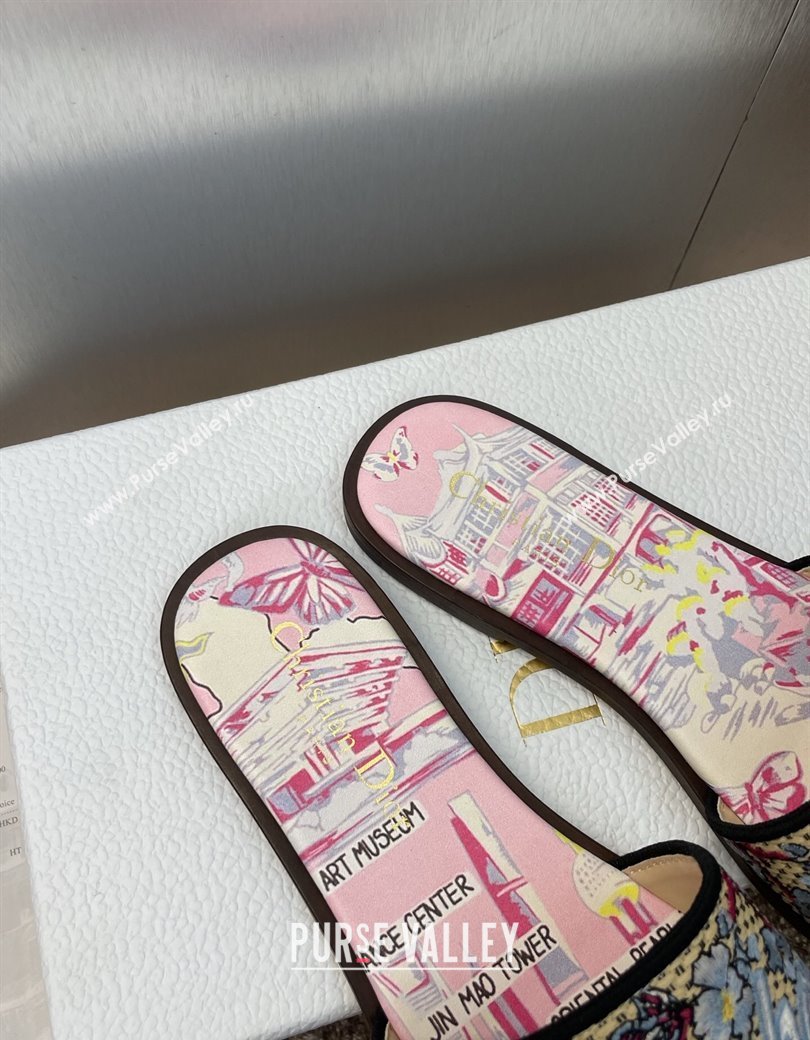 Dior Dway Flat Slides Sandal in Straw and Embroidered Cotton Light Pink 2025 DR082204 (JC-250822089)