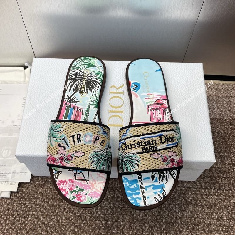 Dior Dway Flat Slides Sandal in Straw and Embroidered Cotton Light Blue 2025 DR082204 (JC-250822090)